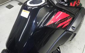SUZUKI Vｽﾄﾛｰﾑ250