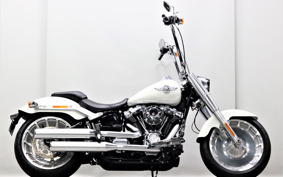 HARLEY FLFBS 1988 YGK