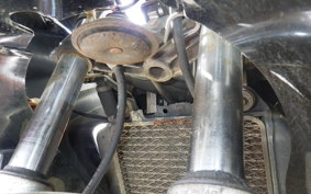 KAWASAKI ZZ-R250 EX250H