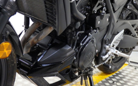 YAMAHA MT-25 RG43J