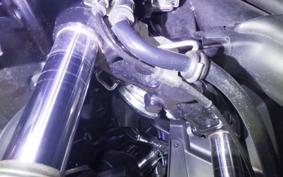 YAMAHA CYGNUSｸﾞﾘﾌｧｽ 2014 SEJ4J