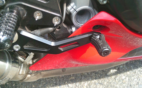 DUCATI 1299PANIGA-RES 2015 ZDMH905JAFB