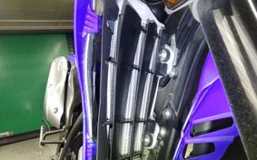 YAMAHA WR250X 2022 DG15J