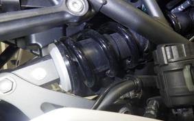 KAWASAKI Z900RS CAFE 2023 ZR900K