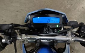 KAWASAKI D-TRACKERX LX250V