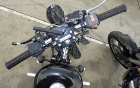 OTHER +UNREGISTERED MODEL by BDS250