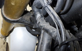 HONDA CBR250RR A MC51