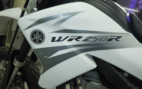 YAMAHA WR250X DG15J