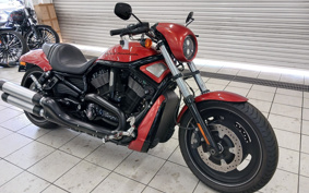 HARLEY VRSCDX1250 2010 HHH