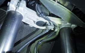KAWASAKI NINJA 1000SX 2021 ZXT02K