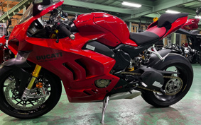 DUCATI PANIGA-REV4S 2023 3D00