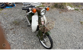 HONDA SUPER CUB50 C50