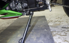 KAWASAKI ZX-4RR 2024 ZX400P