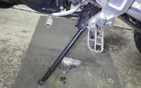 FANTIC キャバレロ500 RALLY 2020