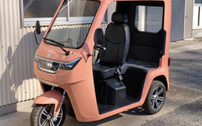 OTHER VEHICLE FUN EVTUKTUK ...