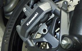 KAWASAKI NINJA 1000SX 2024 ZXT02K