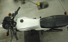 YAMAHA RZ 250 2009 4L3