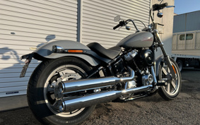 HARLEY HARLEY FXST1340-1450 2024 BVJ