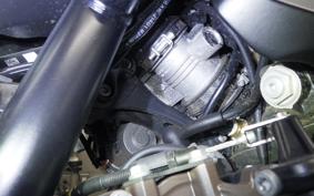 HUSQVARNA NORDEN901 2022