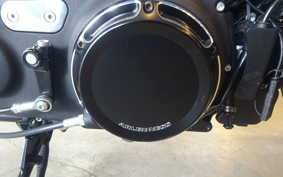 HARLEY XL1200X 2020 LC3