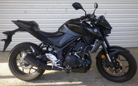 YAMAHA MT-25 RG74J