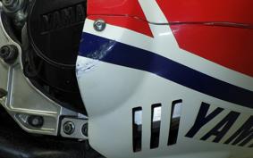 YAMAHA RZV500 R 1984 51X
