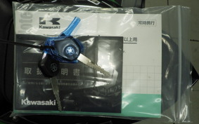 KAWASAKI ZH2 2020 ZRT00K