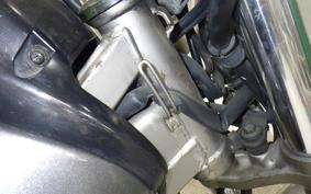YAMAHA ZEAL 3YX