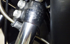 HONDA PS250 2008 MF09