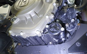 HUSQVARNA SVARTPILEN 401 2021