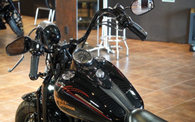 HARLEY FLSTSB 2008 JM5