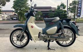 HONDA  SUPER CUB C125 JA48