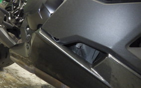 KAWASAKI NINJA 1000SX 2020