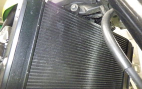 KAWASAKI Z900RS CAFE 2020 ZR900C
