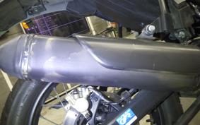 OTHER +ENFIELD ﾋﾏﾗﾔﾝ 2021