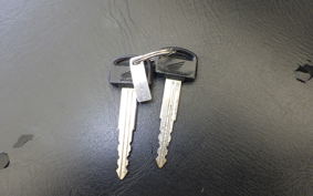 HONDA FORESIGHT EX 2009 MF04