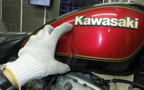 KAWASAKI Z250 Limited 2022 KZ250H