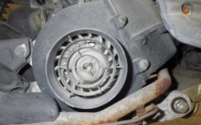 HONDA TODAY 2021 AF61