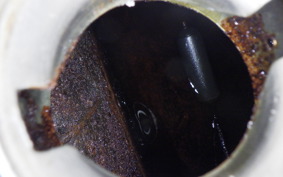 OTHER +UNREGISTERED MODEL by BDS250 2004