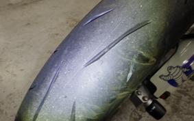 YAMAHA WR250X DG15J