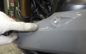 HONDA CRF250L MD47