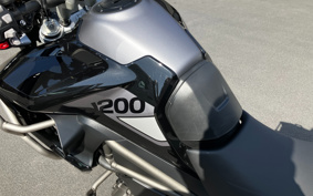 TRIUMPH TIGER 1200GT PRO 2023 TAP22V