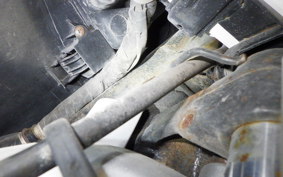 HONDA LEAD 110 2022 JF19