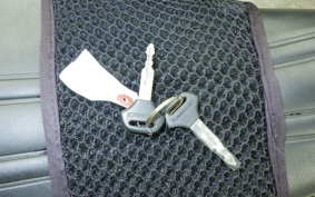 KAWASAKI W800 2017 EJ800A