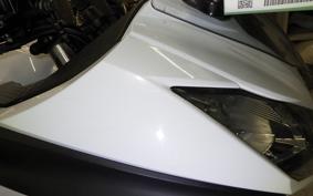 KAWASAKI NINJA 250 EX250L