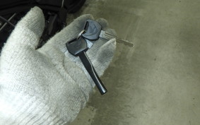 HONDA REBEL 250 E-Clutch 2025 MC49