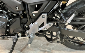 SUZUKI STROM 250ABS DS11A