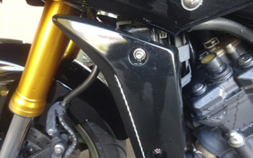YAMAHA FZ1 FAZER 2009 RN17