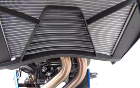 BMW F900R STANDARD 2025 0K81