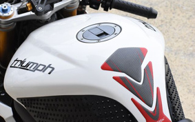 TRIUMPH DAYTONA 675 R TMD116